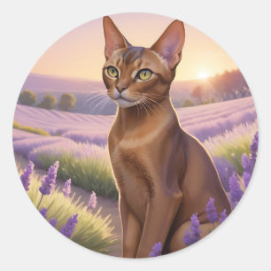 Sticker Rond Chat abyssin en champ de lavande