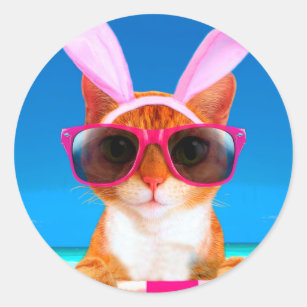 Autocollants Stickers Chat Lunettes Soleil Zazzle Fr Autocollants Stickers Chat Lunettes Soleil Zazzle Fr
