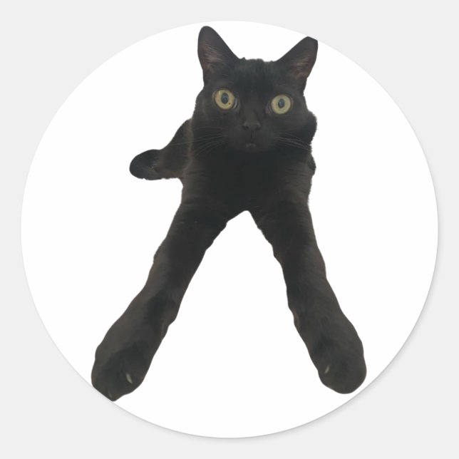Sticker Rond chat bigfootjinx (Devant)