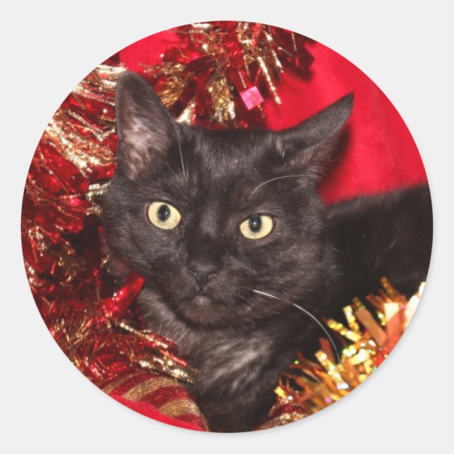Sticker Rond Chat chaton noir Noël (Devant)