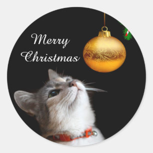 Sticker Rond Chat chaton testé Noël