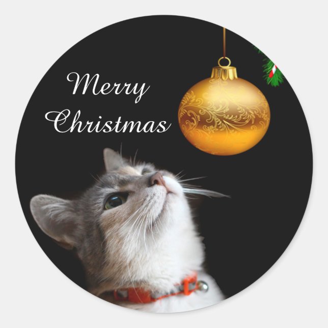 Sticker Rond Chat chaton testé Noël (Devant)