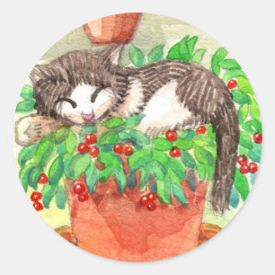 Sticker Rond Chat couché sur Plante