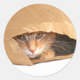 Sticker Rond Chat dans l'autocollant du sac