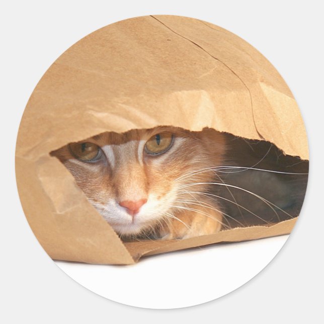 Sticker Rond Chat dans l'autocollant du sac (Devant)