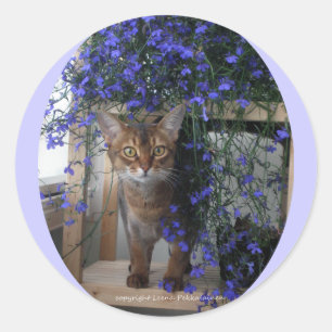 Sticker Rond Chat de fleur (ovale)