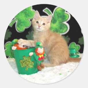 Sticker Rond Chat de la Saint Patrick de Buffington / Kitten