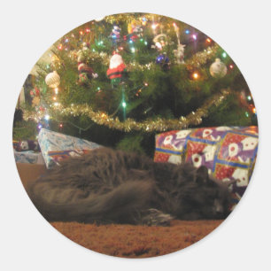 Sticker Rond Chat de Noël