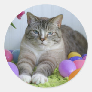 Sticker Rond Chat de Pâques