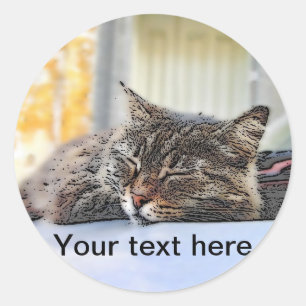 Sticker Rond Chat de rue dormant sur la voiture