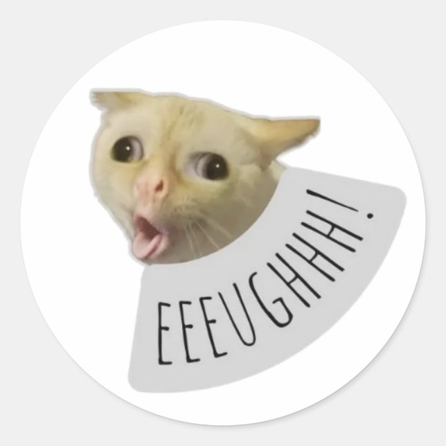 Sticker Rond chat drôle mème (Devant)