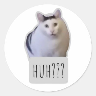 Sticker Rond chat drôle mème