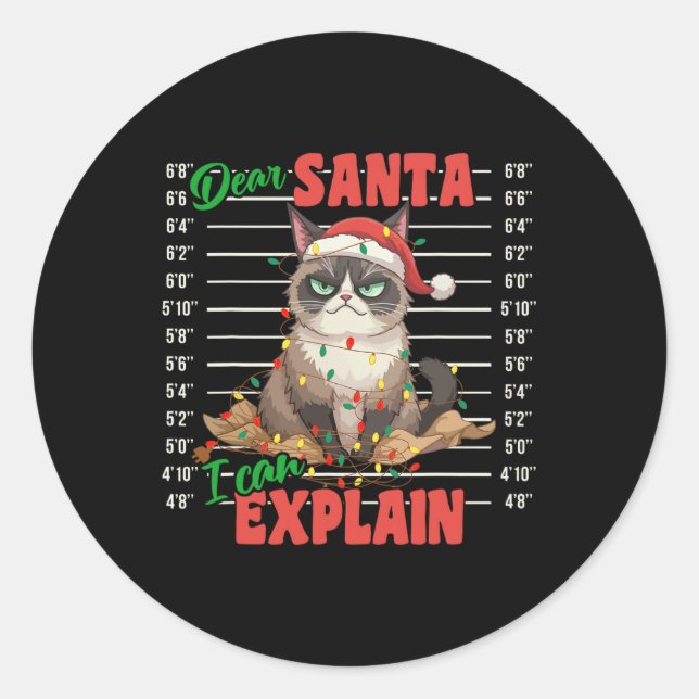 Sticker Rond Chat Drôle Mugshot Cher Père Noël Je Peux Explique (Devant)
