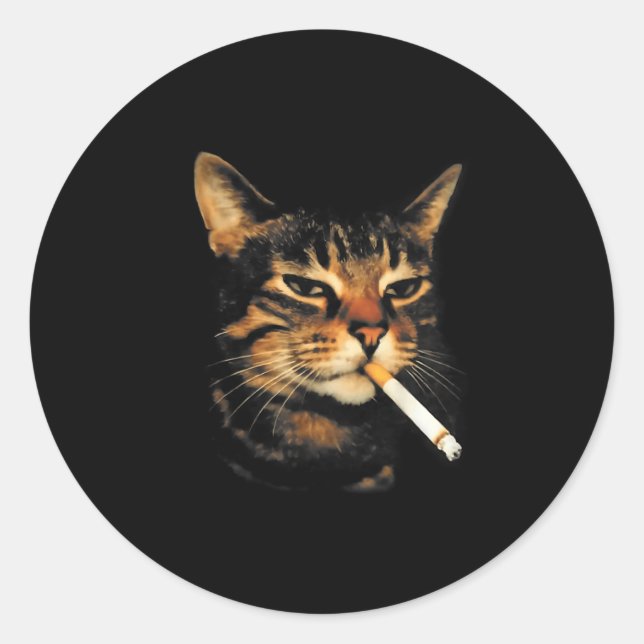 Sticker Rond Chat drôle qui fume une cigarette Kitten Meme Stup (Devant)