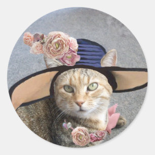 STICKER ROND CHAT ÉLÉGANT AVEC GRAND CASQUETTE DIVA, ROSES ROSE