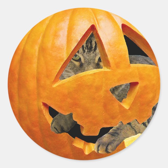 Sticker Rond Chat en Citrouille (Devant)