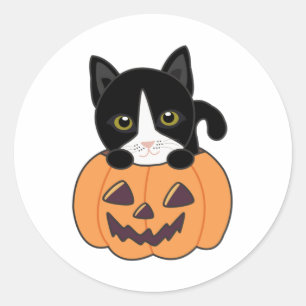 Sticker Rond Chat En Citrouille Chats Doux Joyeux Halloween Cla