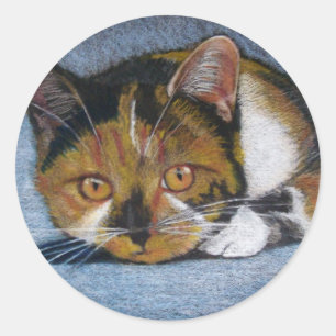 STICKER ROND CHAT EN COULEUR PENCIL : BALLES