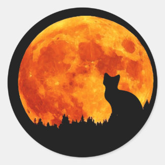 Sticker Rond Chat en pleine orange Lune