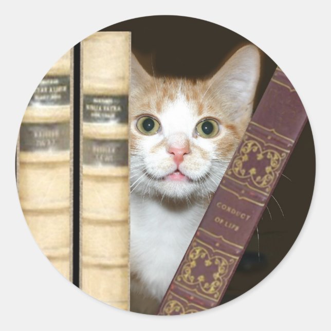 Sticker Rond Chat et livres (Devant)