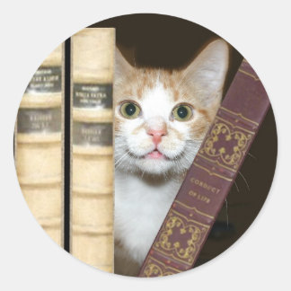 Sticker Rond Chat et livres