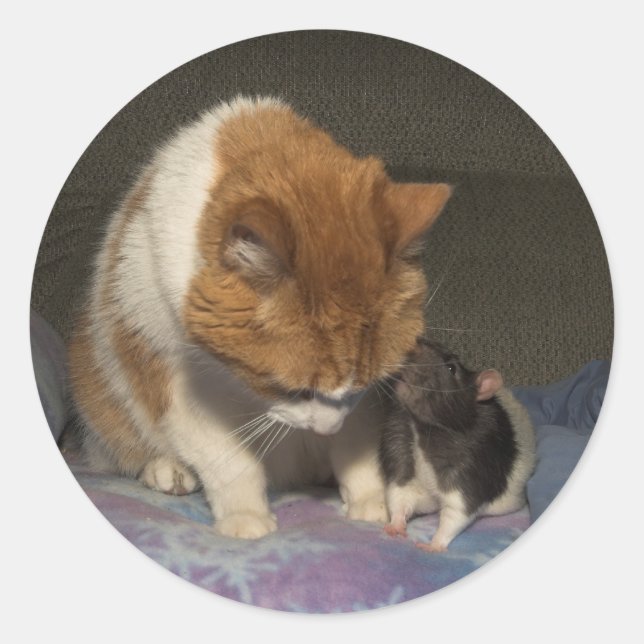 Sticker Rond chat et rat (Devant)
