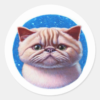 Sticker Rond Chat Exotique Shorthair