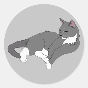 Sticker Rond Chat gris et blanc Tuxedo