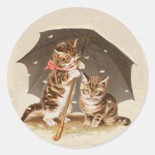 Sticker Rond Chat Kitten chaton antique vintage jolie mignonne