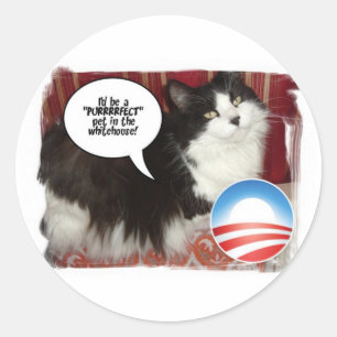 Sticker Rond Chat Kitty pour animal de compagnie Whitehouse