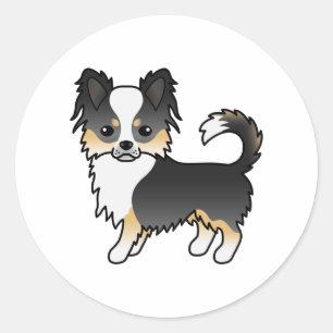 Sticker Rond Chat long en Tricolore noir Chihuahua mignon chien