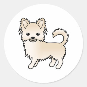 Sticker Rond Chat longue crème Chihuahua mignonne chien de dess