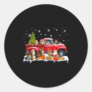 Sticker Rond Chat Maine Coon camion rouge arbre de Noël Santa l