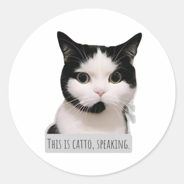 Sticker Rond chat meme (Devant)