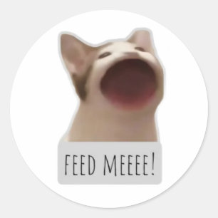 Sticker Rond chat mème drôle