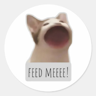 Sticker Rond chat mème drôle