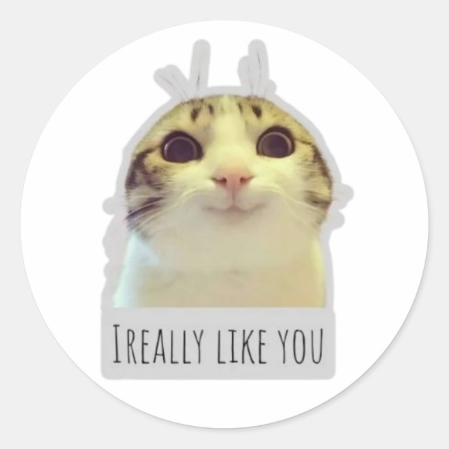 Sticker Rond chat mignon mème (Devant)