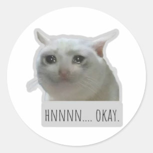 Sticker Rond chat mignon mème