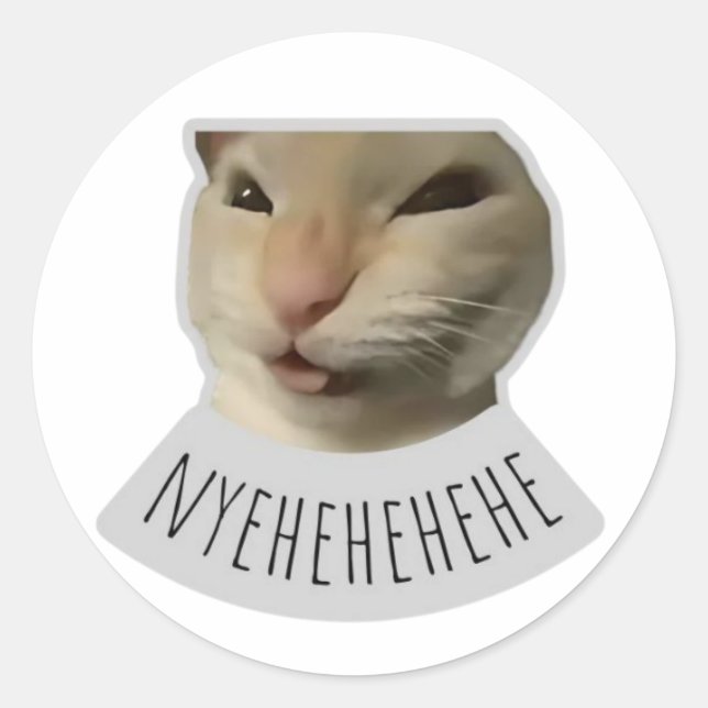 Sticker Rond chat mignon mème (Devant)