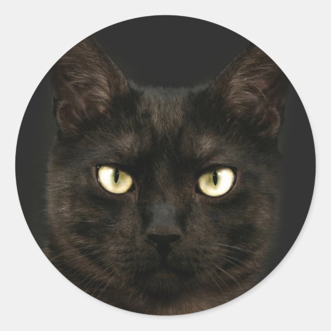 Sticker Rond chat noir éffrayant (Devant)