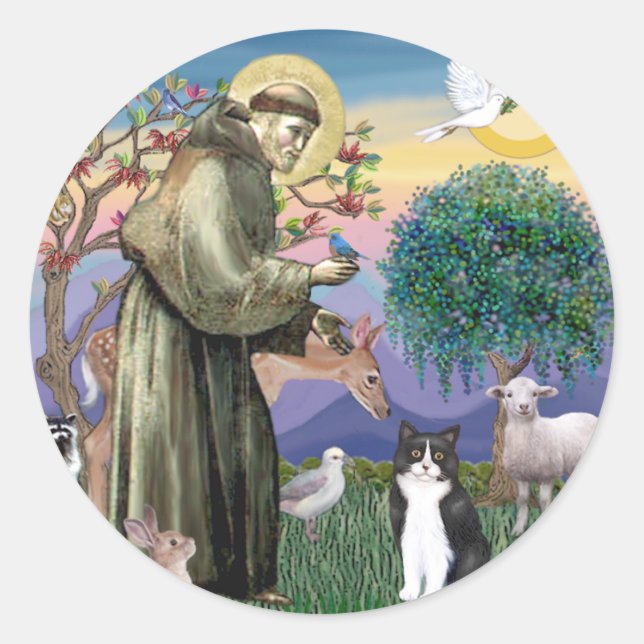 Sticker Rond Chat noir et blanc - Saint François (Devant)