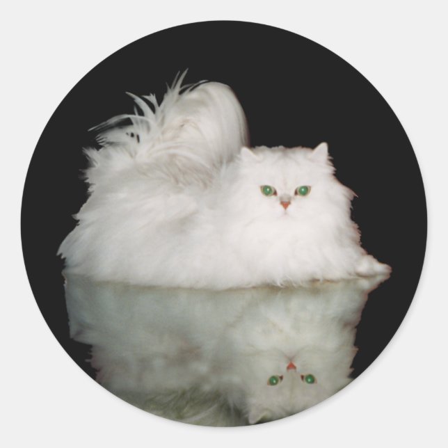 Sticker Rond Chat Persan aux Yeux Vert Jade (Devant)