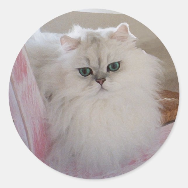 Sticker Rond Chat Persan Blanc sur une Chaise Rose (Devant)