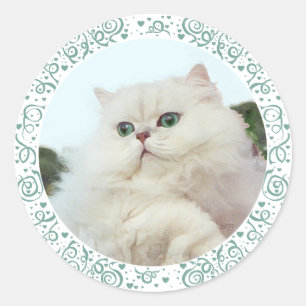 Sticker Rond Chat perse avec Yeux de Jade