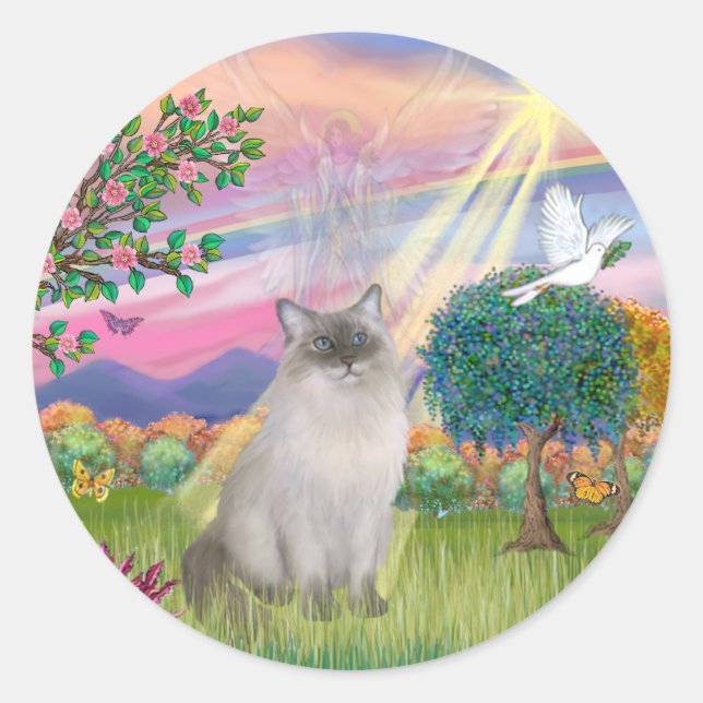 Sticker Rond Chat Ragdoll (Point Bleu) - Ange des Nuages (Devant)
