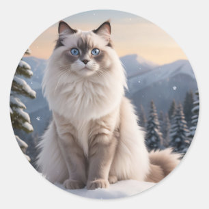 Sticker Rond Chat Ragdoll sur la montagne de neige avec un hive