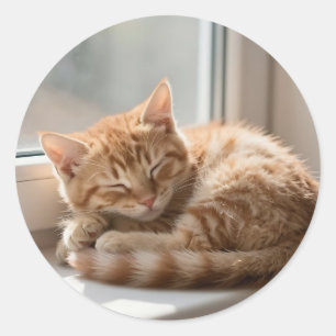 Sticker Rond Chat roux au soleil faisant une sieste confortable