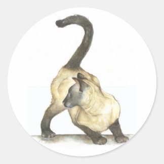 Sticker Rond chat siamois
