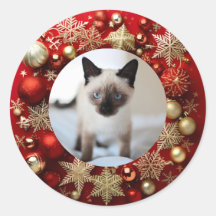 chat siamois Noël