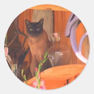 Sticker Rond Chat Siamois Poser 2 Animal